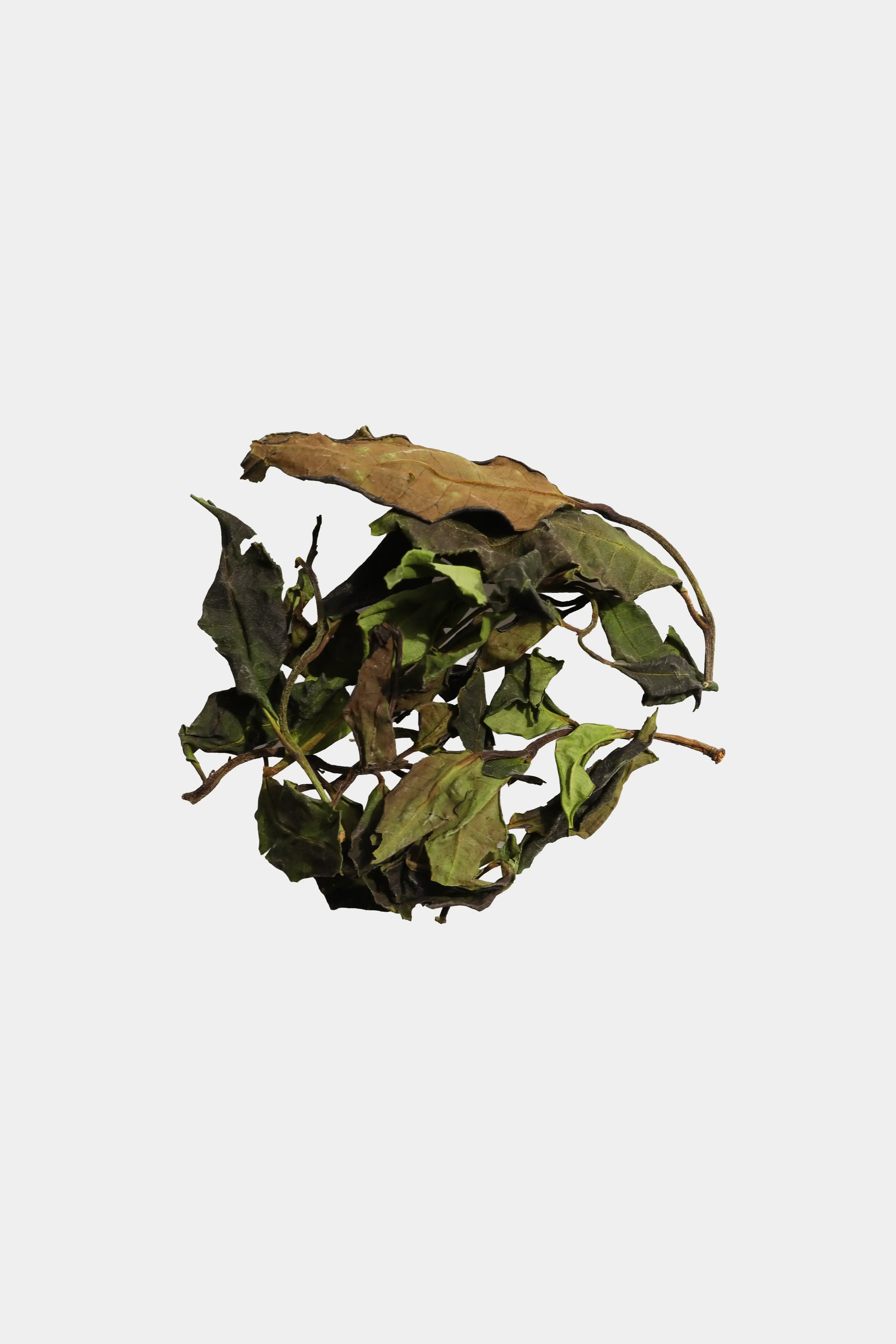 LOT199. 운남 단주 백차🟢🔵⚫